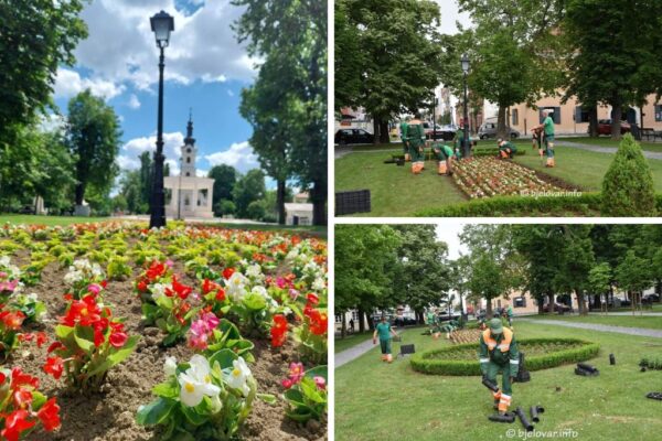 cvijece komunalac park 2026 4