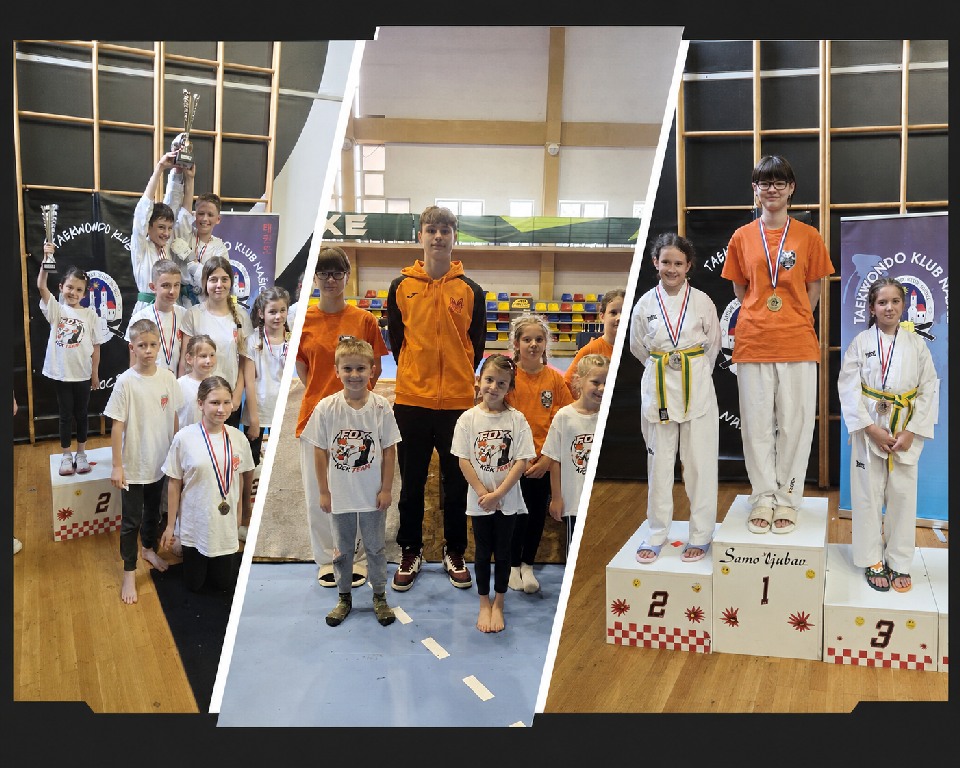 Taekwondo klub Fox briljirao u Našicama: Foksići osvojili niz medalja i ekipni pehar