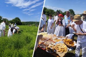 2026 06 15 ruskovac 1
