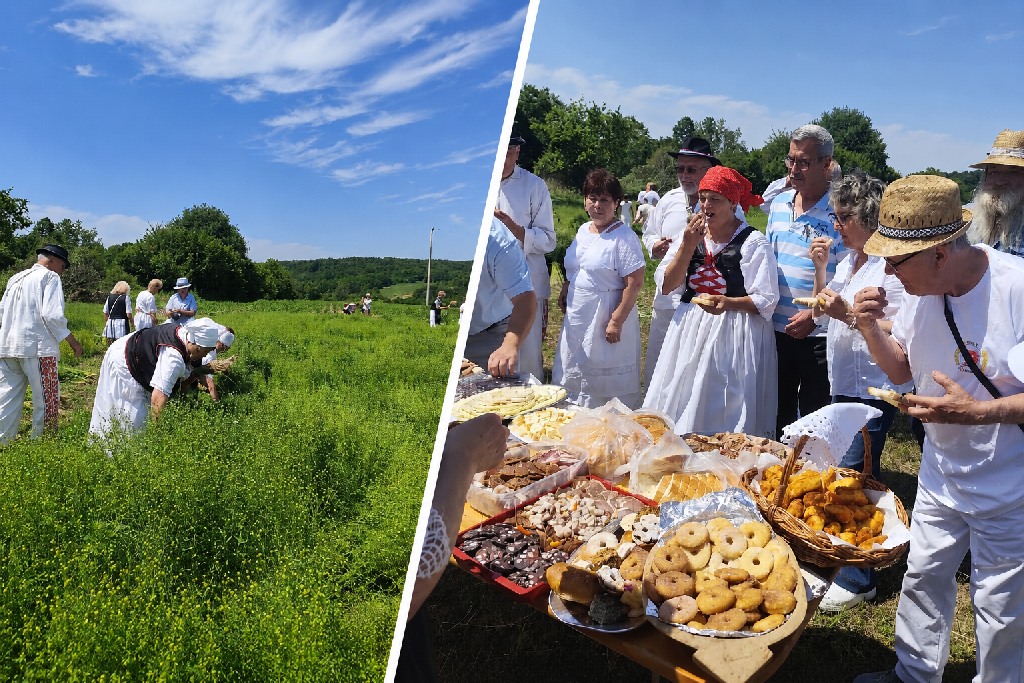 Ruškovac oživio stare običaje: Održano tradicionalno „Čupanje lana“ i otvorena izložba „Čipka na drot“ 2026 06 15 ruskovac 1