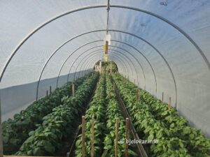 2026 07 09 opg gradbjelovar 2