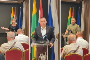 gradsko vijece bjelovar 1
