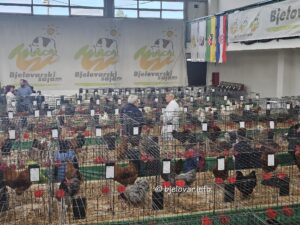 2026 09 25 malezivotinje 6